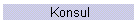 Konsul
